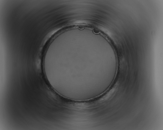 X0000092111066200710031226