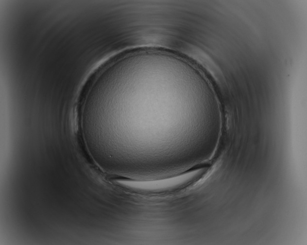 X0000092111069200710031226