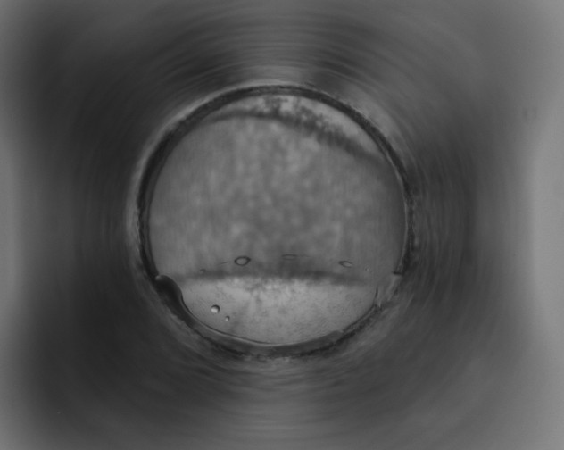 X0000092111072200710031226