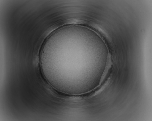 X0000092111073200710031226