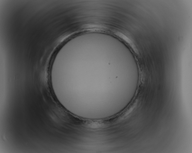 X0000092111074200710031226