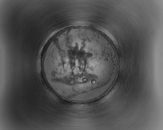 X0000092111075200710031226