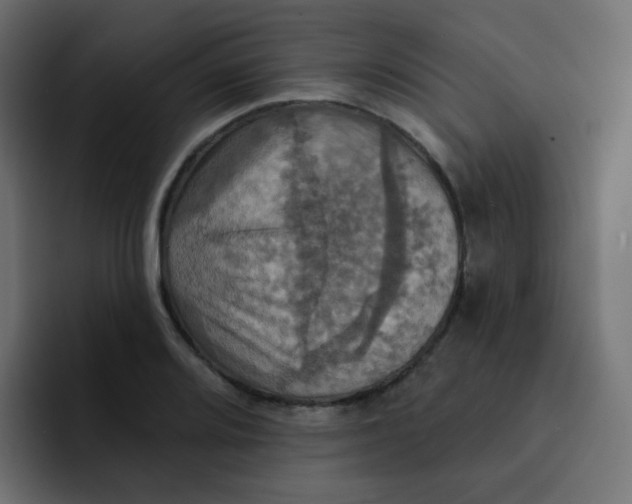 X0000092111080200710031226