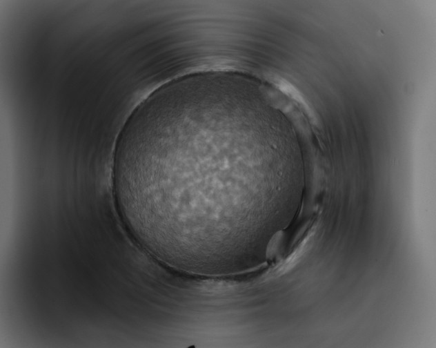 X0000092111081200710031226