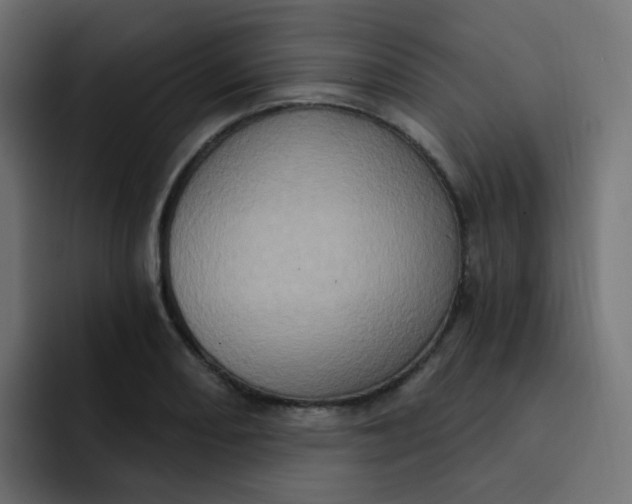 X0000092111082200710031226