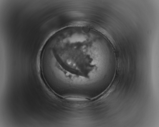 X0000092111083200710031226