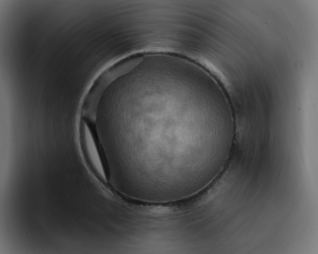 X0000092111085200710031226