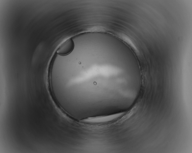 X0000092111087200710031226