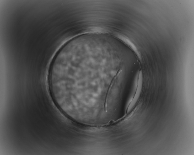 X0000092111091200710031226