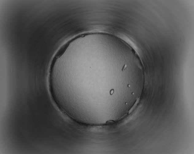 X0000092111093200710031226