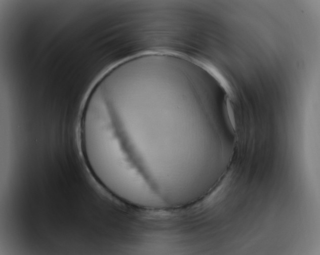 X0000092111100200710031226