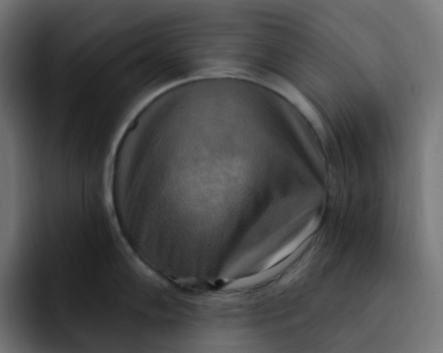 X0000092111102200710031226