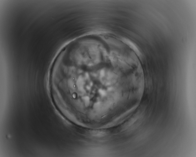 X0000092111103200710031226