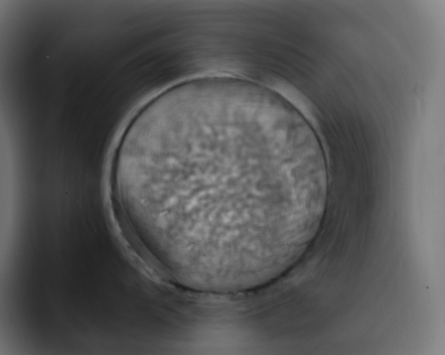 X0000092111104200710031226