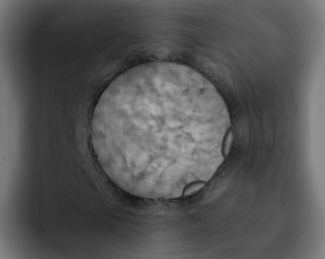 X0000092111105200710031225