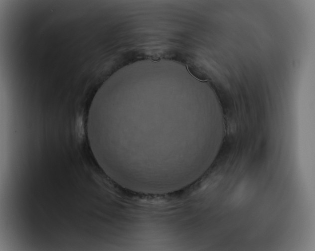 X0000092111106200710031225