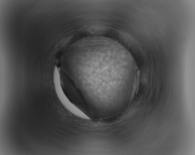 X0000092111108200710031225