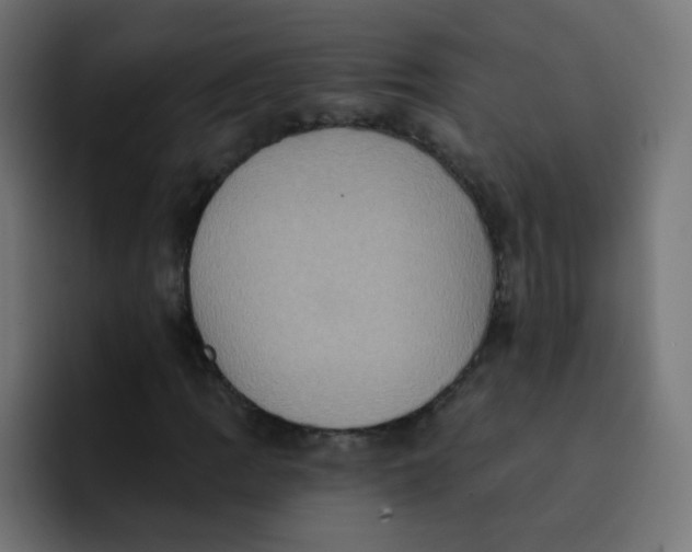 X0000092111109200710031225