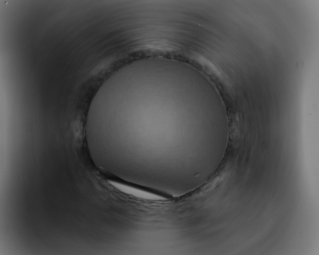 X0000092111110200710031225