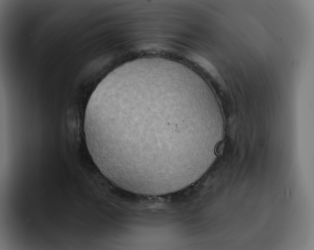 X0000092111111200710031225