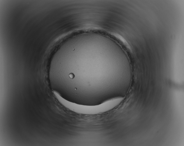 X0000092111112200710031225