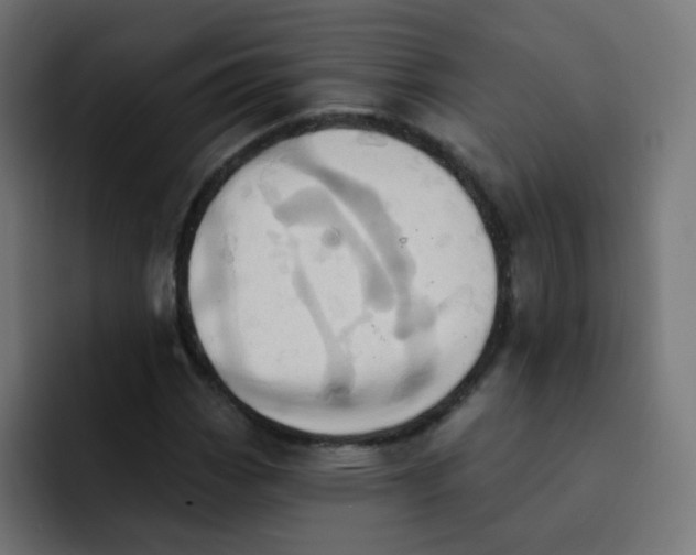 X0000092111113200710031225