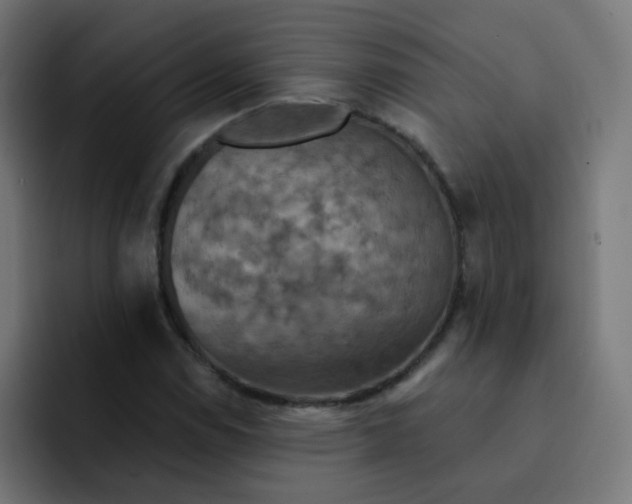 X0000092111114200710031225