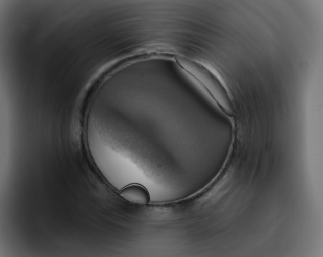 X0000092111115200710031225