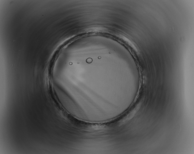 X0000092111117200710031226