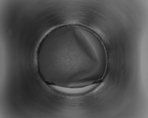 X0000092111118200710031226