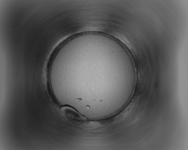 X0000092111119200710031226