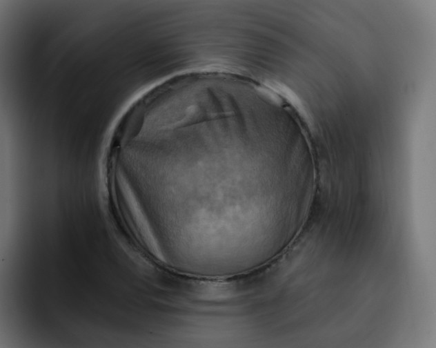 X0000092111120200710031226