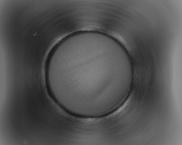 X0000092111122200710031226