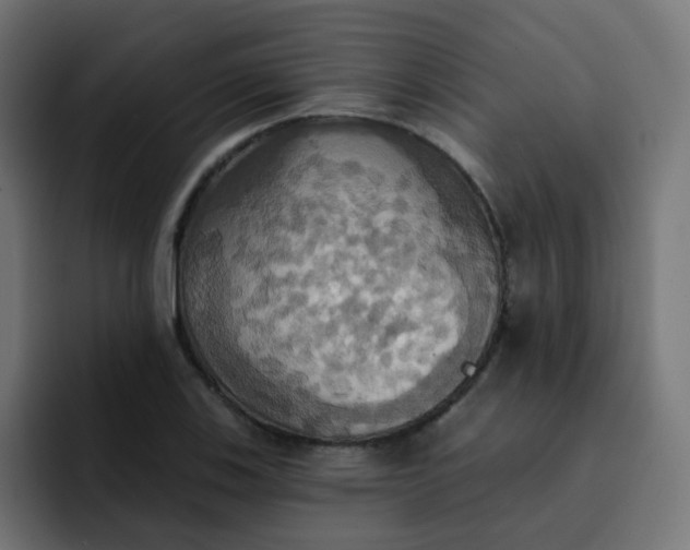 X0000092111123200710031226