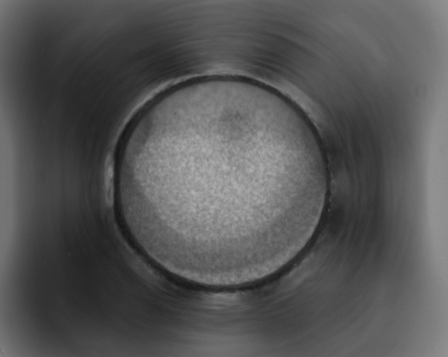 X0000092111126200710031226