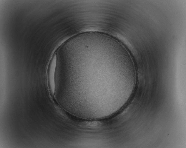 X0000092111129200710031226