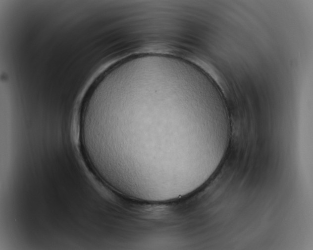 X0000092111131200710031226