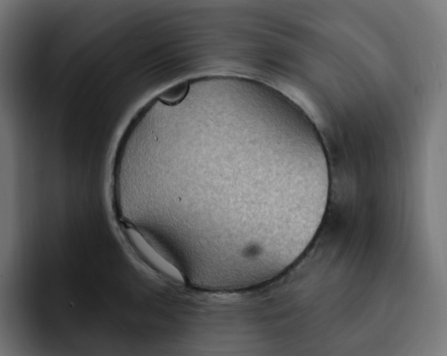 X0000092111136200710031226