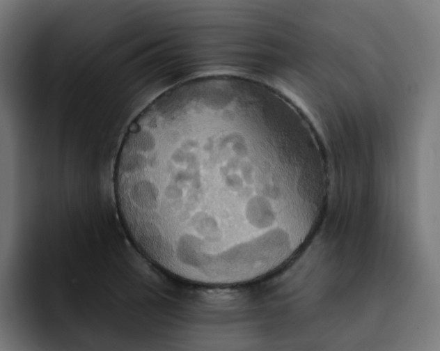 X0000092111137200710031226