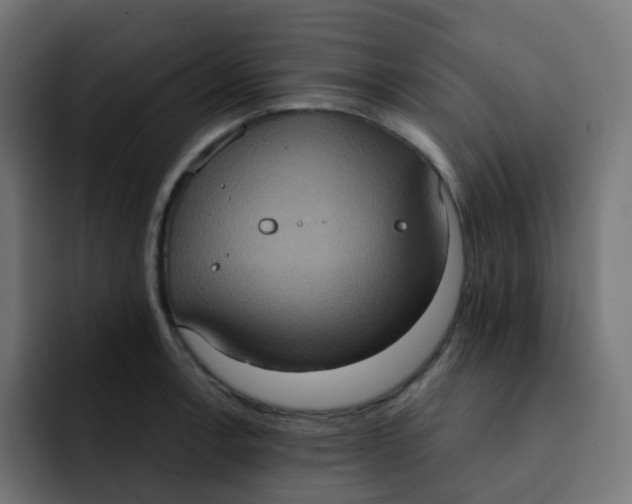 X0000092111138200710031226