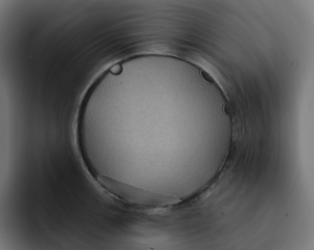 X0000092111139200710031226