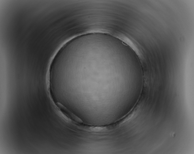 X0000092111140200710031226