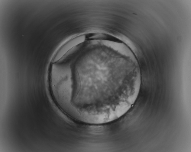 X0000092111142200710031226