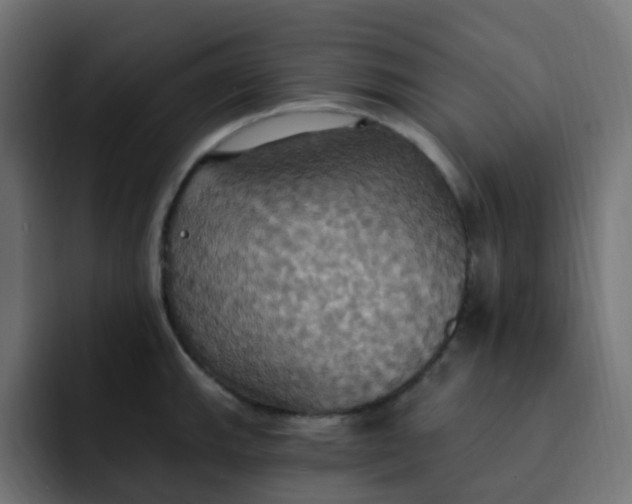 X0000092111143200710031226