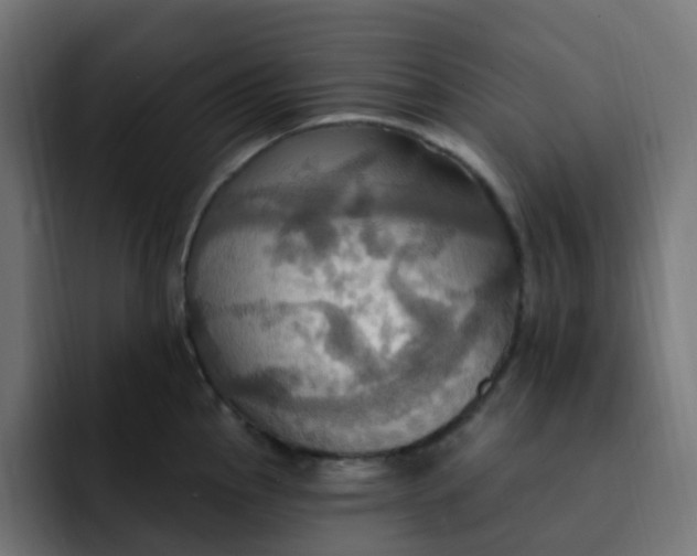 X0000092111145200710031226