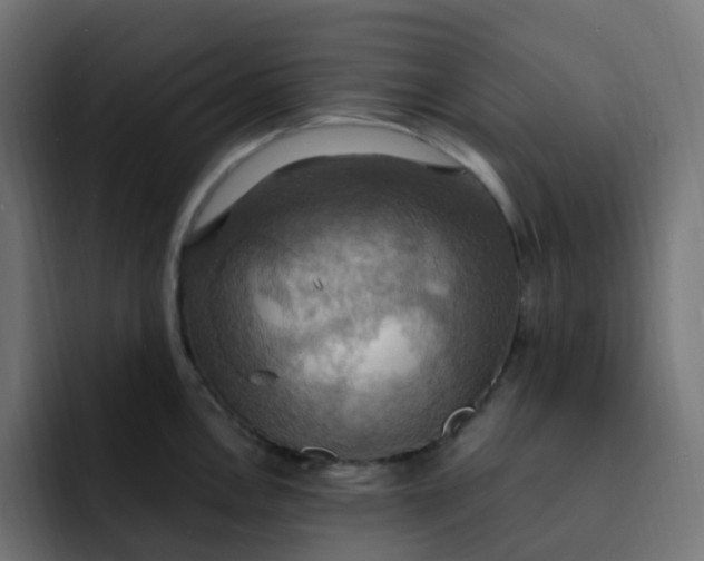 X0000092111146200710031226