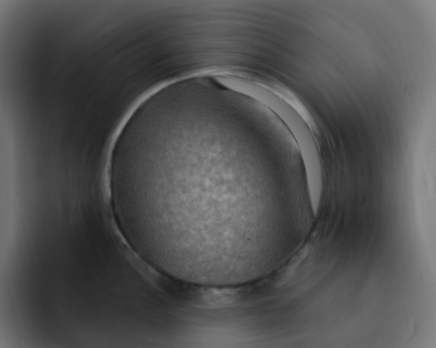 X0000092111148200710031226