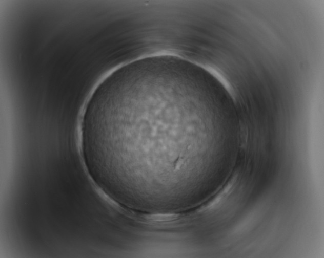 X0000092111151200710031226