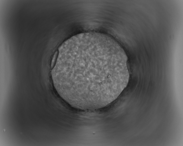 X0000092111153200710031225