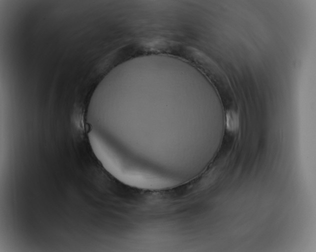 X0000092111155200710031225